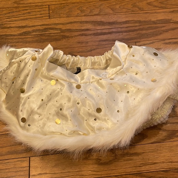 Victoria's Secret Dresses & Skirts - Victoria’s Secret Santa sexy little things gold and cream tutu skirt one size